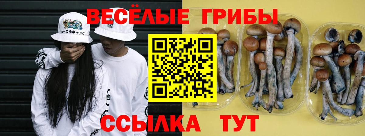Галлюциногенные грибы прущие грибы Вятские Поляны