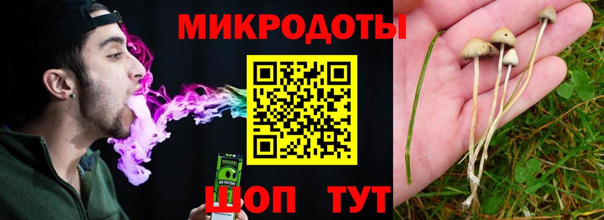 Галлюциногенные грибы Psilocybine cubensis  Вход с VPN  Вятские Поляны 
